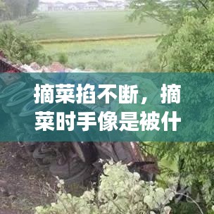 不期而遇 第2页