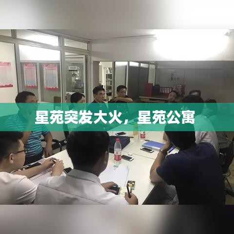 囊萤映雪 第2页