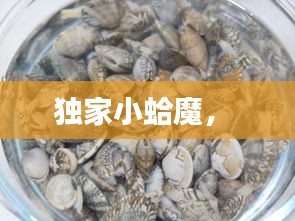 迷离马虎 第2页