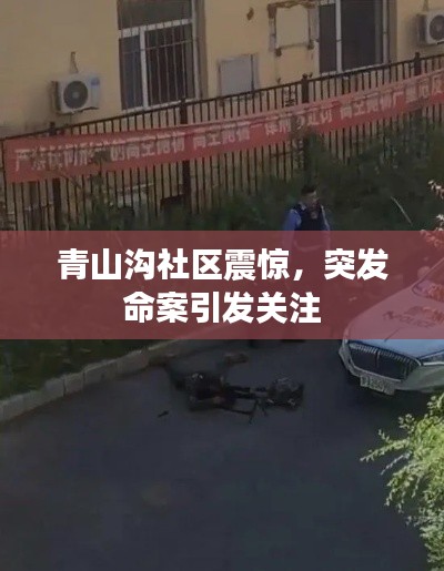 七上八下 第2页