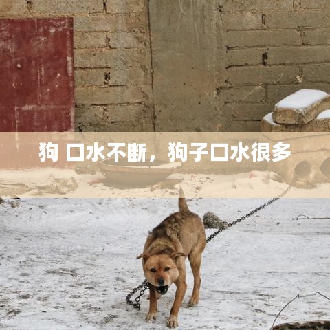 民贵君轻 第2页