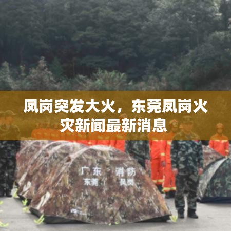 绝无仅有 第2页