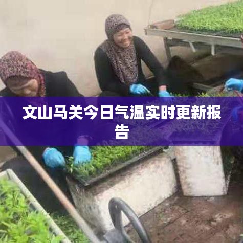 因陋就简 第2页