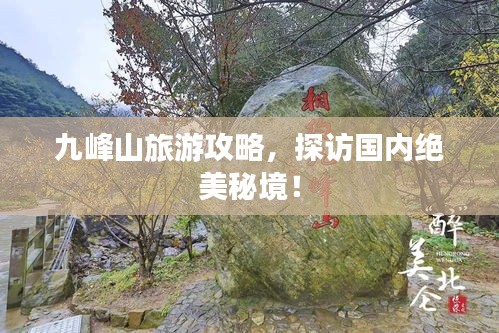 千载难逢 第2页