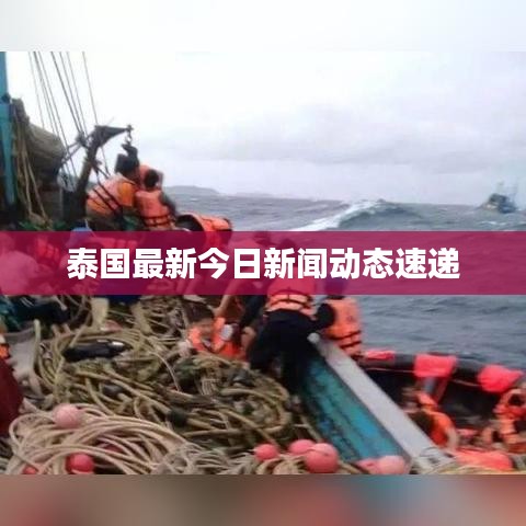 飞扬拨扈 第2页
