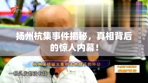 鸟入樊笼 第2页