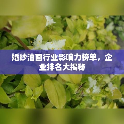 眉目如画 第2页