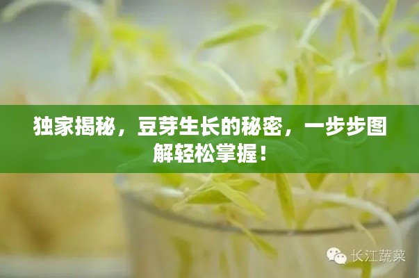 踊贵屦贱 第2页