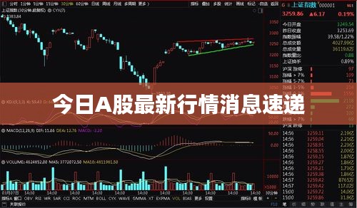 今日A股最新行情消息速递
