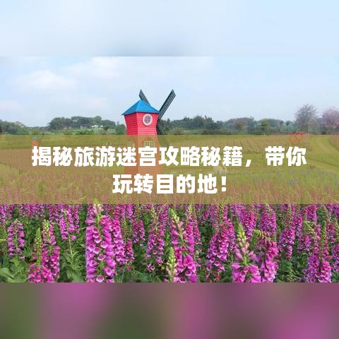 展翅欲飞 第2页