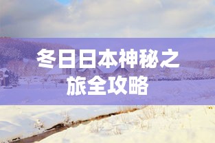 冬日日本神秘之旅全攻略