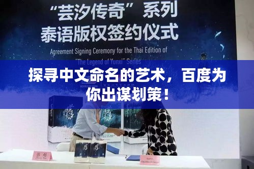 经典案例 第55页