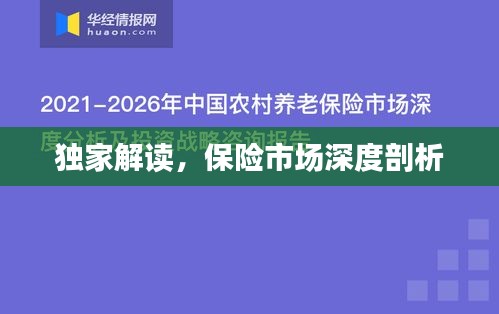 独家解读，保险市场深度剖析