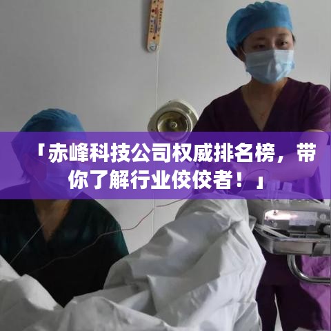 「赤峰科技公司权威排名榜，带你了解行业佼佼者！」
