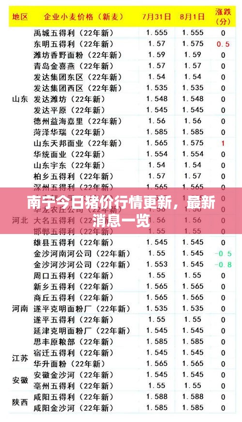 南宁今日猪价行情更新，最新消息一览