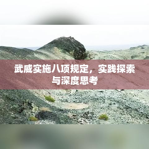 武威实施八项规定，实践探索与深度思考