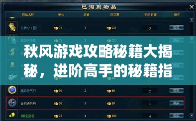 秋风游戏攻略秘籍大揭秘，进阶高手的秘籍指南！