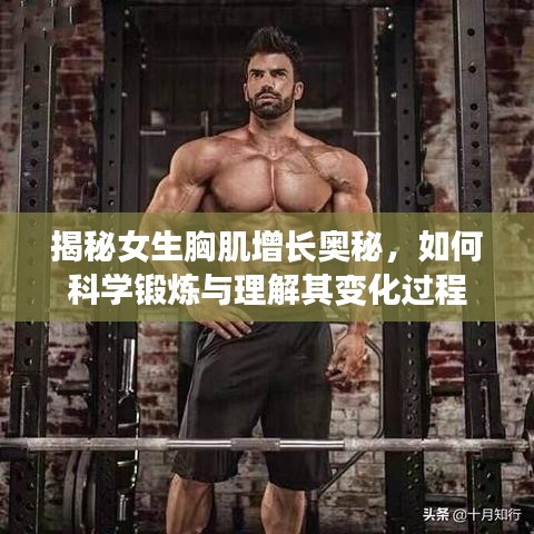 揭秘女生胸肌增长奥秘，如何科学锻炼与理解其变化过程