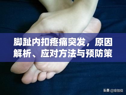 蜎飞蠢动