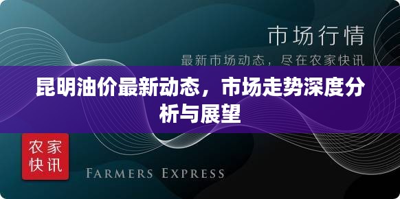 昆明油价最新动态，市场走势深度分析与展望