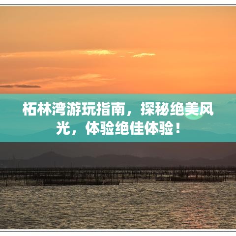 柘林湾游玩指南，探秘绝美风光，体验绝佳体验！