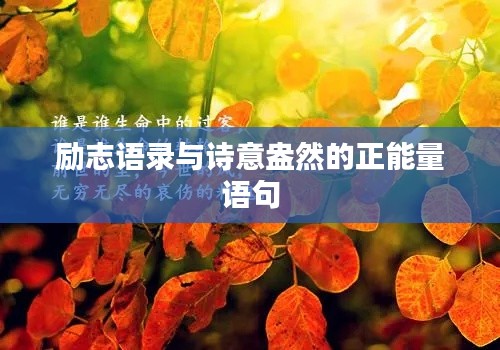 励志语录与诗意盎然的正能量语句