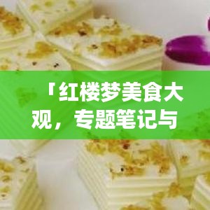 经典案例 第31页