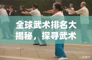 全球武术排名大揭秘，探寻武术之巅，谁领风骚？