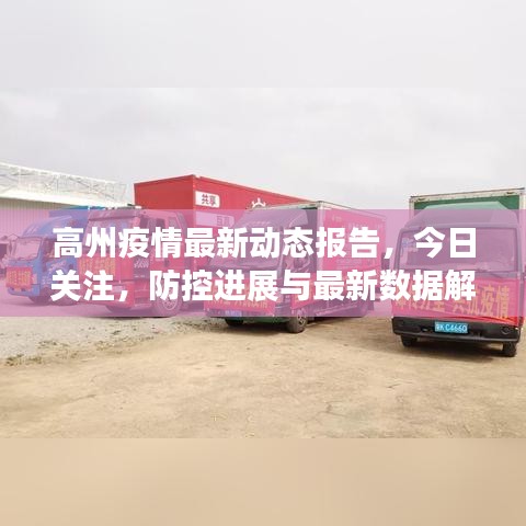 高州疫情最新动态报告，今日关注，防控进展与最新数据解读