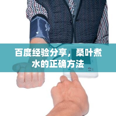 百度经验分享，桑叶煮水的正确方法