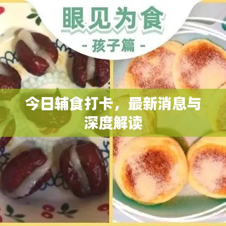 今日辅食打卡，最新消息与深度解读
