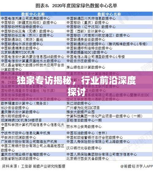 独家专访揭秘，行业前沿深度探讨