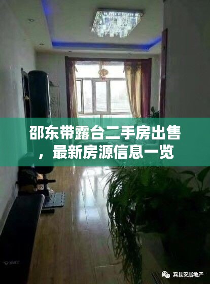 关于我们 第24页