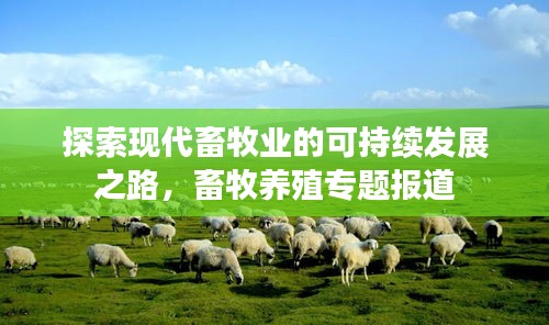 探索现代畜牧业的可持续发展之路，畜牧养殖专题报道