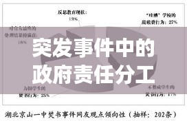 突发事件中的政府责任分工，如何应对危机，保障民众安全？