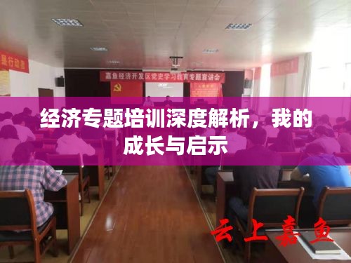 量入为出