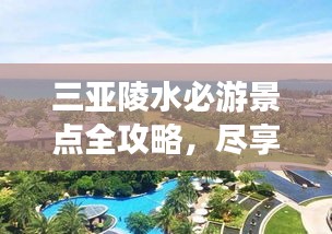 2025年3月 第61页