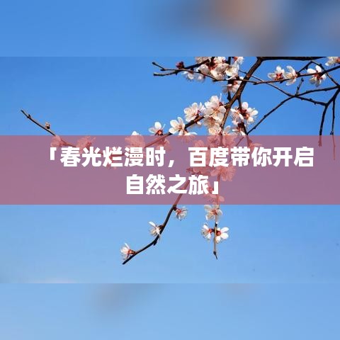 「春光烂漫时，百度带你开启自然之旅」