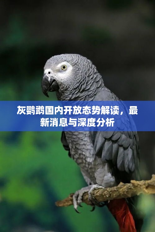 新闻中心 第13页