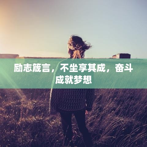 公路运输 第11页