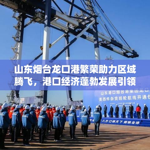 山东烟台龙口港繁荣助力区域腾飞，港口经济蓬勃发展引领区域发展新征程
