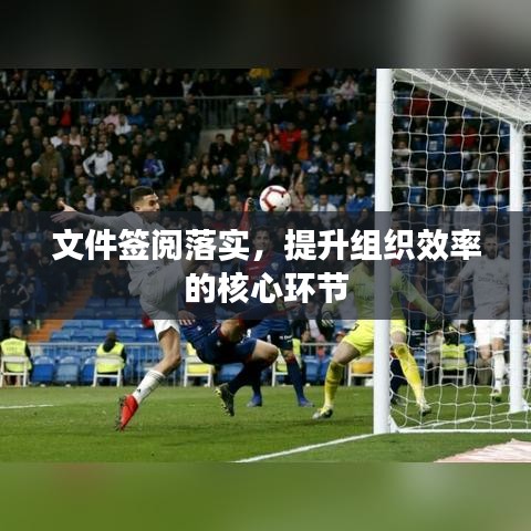 文件签阅落实，提升组织效率的核心环节
