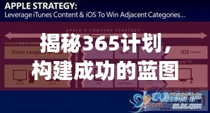 经典案例 第10页