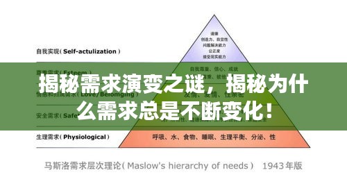 揭秘需求演变之谜，揭秘为什么需求总是不断变化！