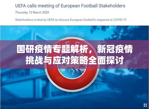 国研疫情专题解析，新冠疫情挑战与应对策略全面探讨