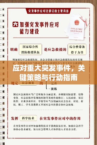 2025年3月 第7页