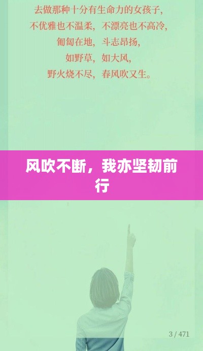2025年3月 第5页