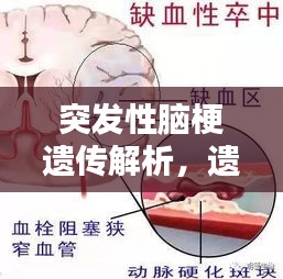 精品物流专线 第9页