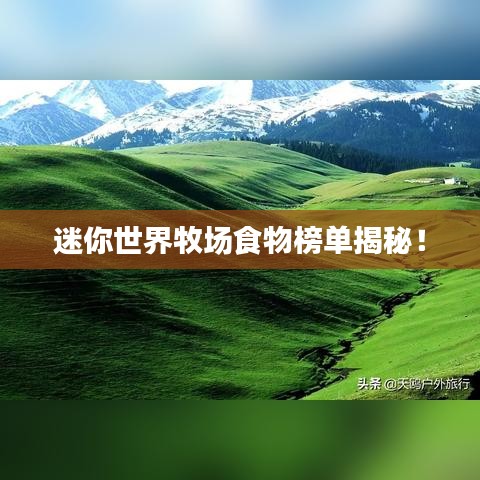 新闻中心 第9页