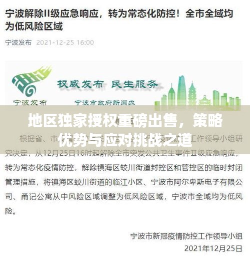 地区独家授权重磅出售，策略优势与应对挑战之道